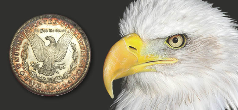Peter, the Mint Eagle