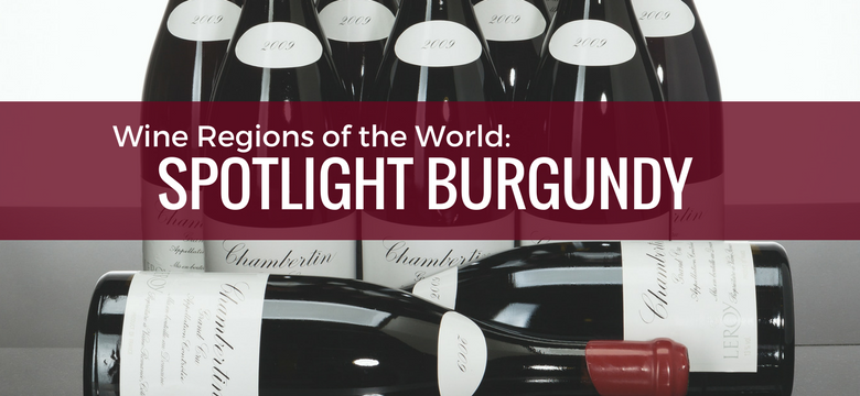 Wine Regions of the World: Spotlight Burgundy