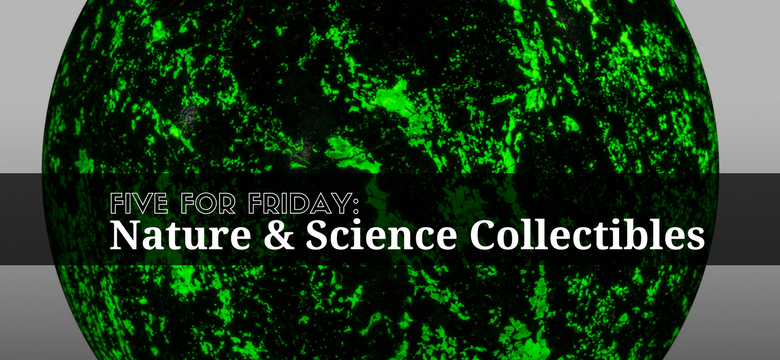 Five for Friday: Nature and Science Treasures
