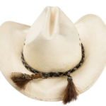 Brad Pitt's cowboy hat from Thelma and Louise