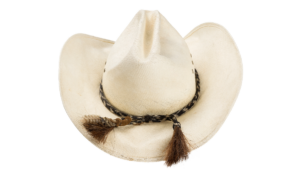 Brad Pitt's cowboy hat from Thelma and Louise